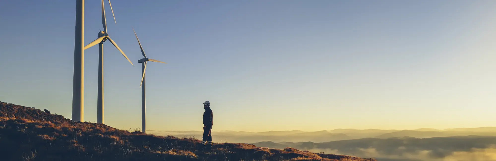 Job Header Image